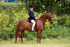 Mountcharles Firefly and Sara Evans