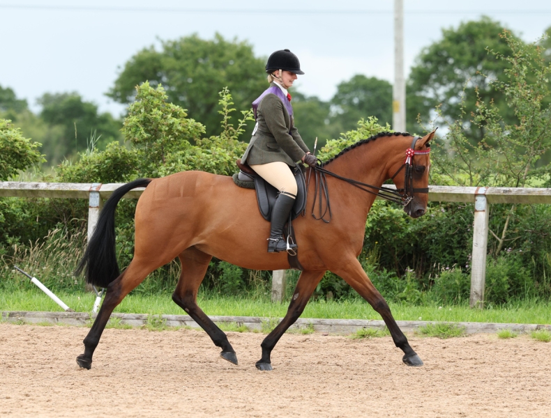 Alice-stratton-Horse_Pony-Lenmar-Lady-Moyne
