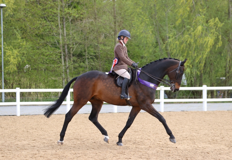 Amber-Flynn-Horse_Pony-Landin