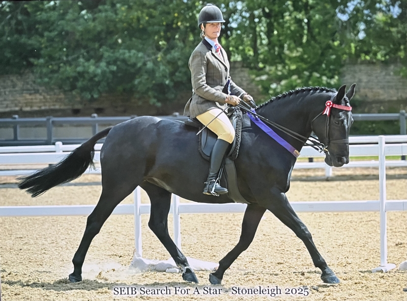 Sarah-Sharp-Horse_Pony-Lissyegan-Trendy