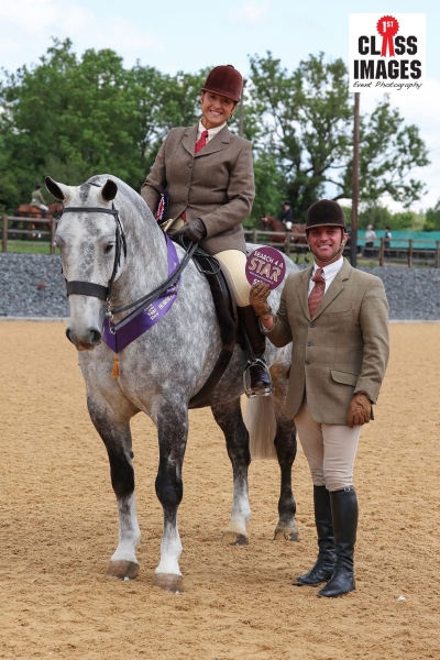 Jane-Hemmings-Horse_Pony-The-boss