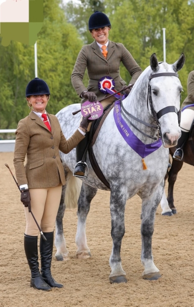 Lisa-Marshall-Horse_Pony-Lady-Woods-Cracker