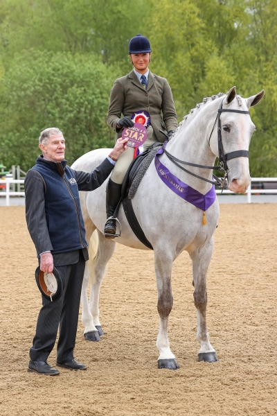Sophie-Williams-Horse_Pony-Silver-Lily-of-Mourne