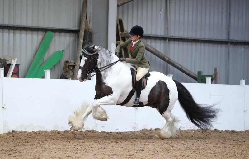 Zoe-Clarke-Horse_Pony-Marley-VI