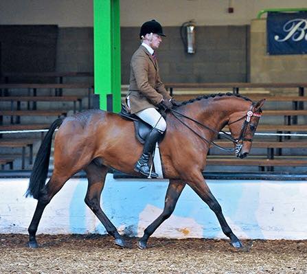 Pastoral Prey Rider Richard Telford