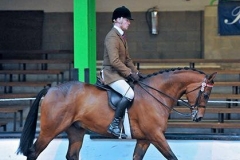 Pastoral Prey Rider Richard Telford