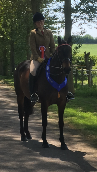 Becky Edge and Solitair’s Jack of Diamonds