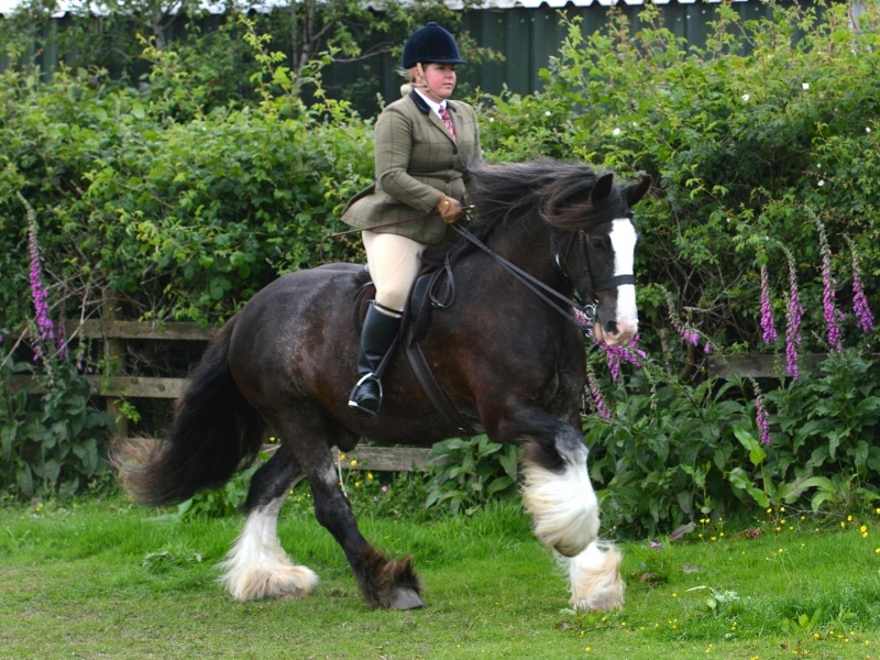 Leanne-wright-and-Paddy