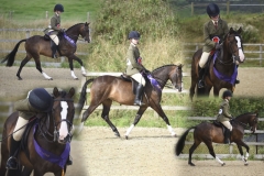 Grace-Morgan-and-Treflan-Robin-Goch