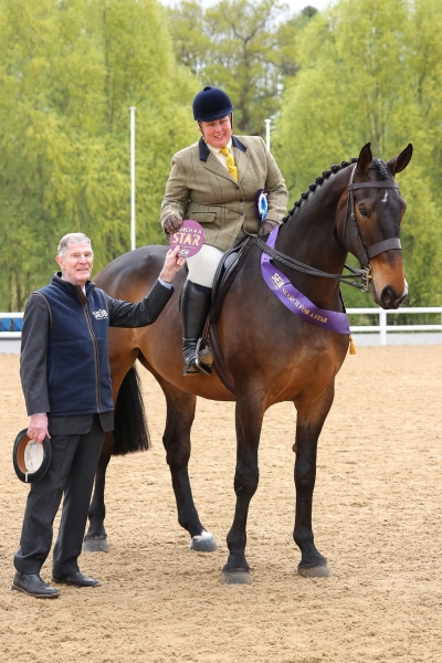 Rachel-Hulse-Horse_Pony-Roll-the-Dyce