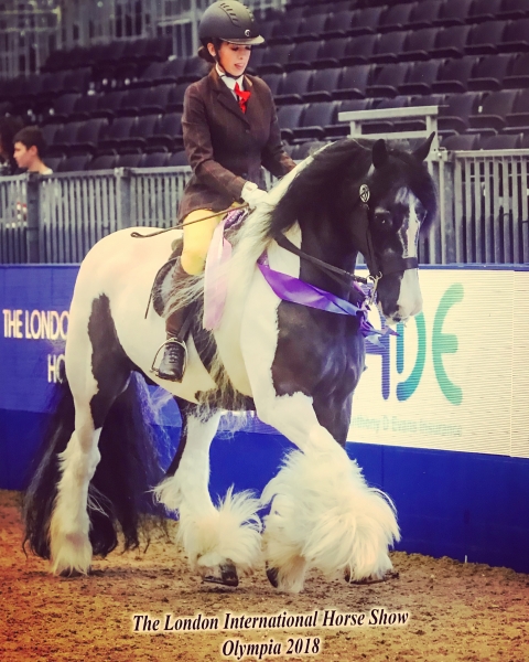Lacey smith and Domino Flashy Lad