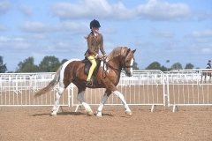 Amelia-Spurr-and-Castlehill-Icon