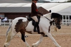 Burghwallis-Creme-de-la-Creme