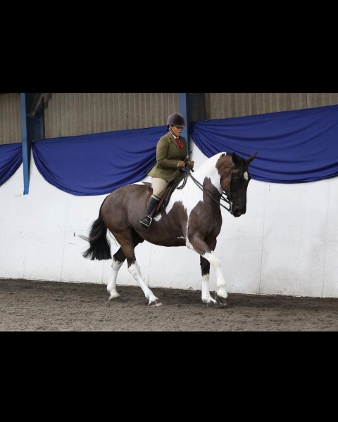 Hollie-Crowe-and-Highview-king-of-the-ring