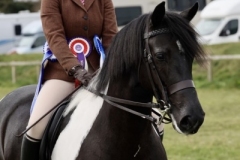 Grace Winter and Stretcholt Copa-Cob-Ana