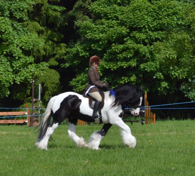 Lucie-Gordon-Burgess-and-Wystone-Domino