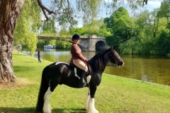 Danielle-boot-and-Lucky-llamedos