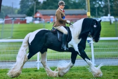 Kayleigh-catton-and-Horsmans-Landlord