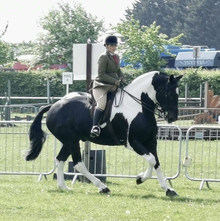 Hollie-crowe-and-Higherview-king-of-the-ring