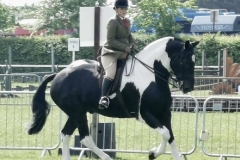 Hollie-crowe-and-Higherview-king-of-the-ring