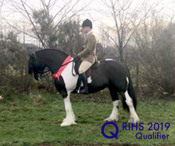 Llynrhyn Krystal and Adam forster