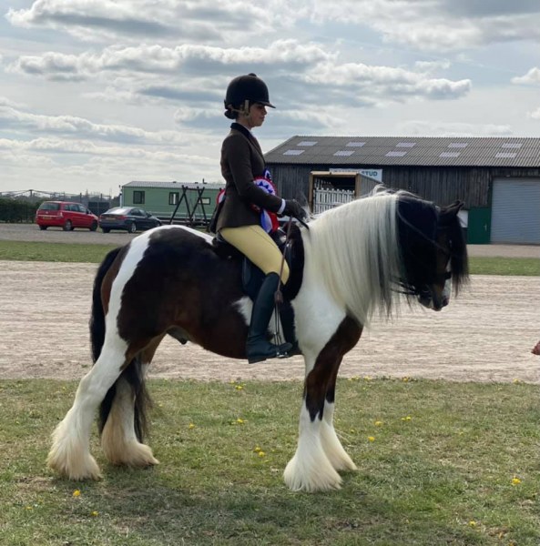 Aliya-Khan-and-Mr-Darcey