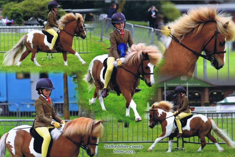 Rose-Cassapi-Paskins-and-Blackertor-Mustang