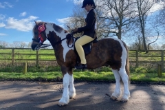 Claudia-Spurr-and-Castlehill-Icon