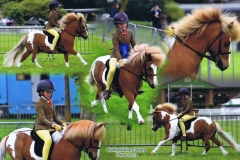 Rose-Cassapi-Paskins-and-Blackertor-Mustang
