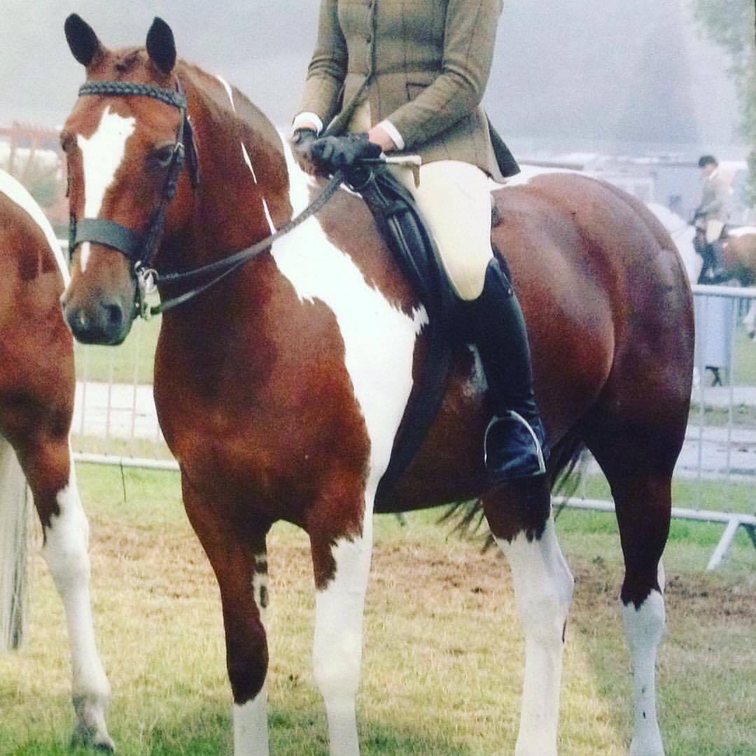 Carnsdale Comedian rider Lucy Vickerton