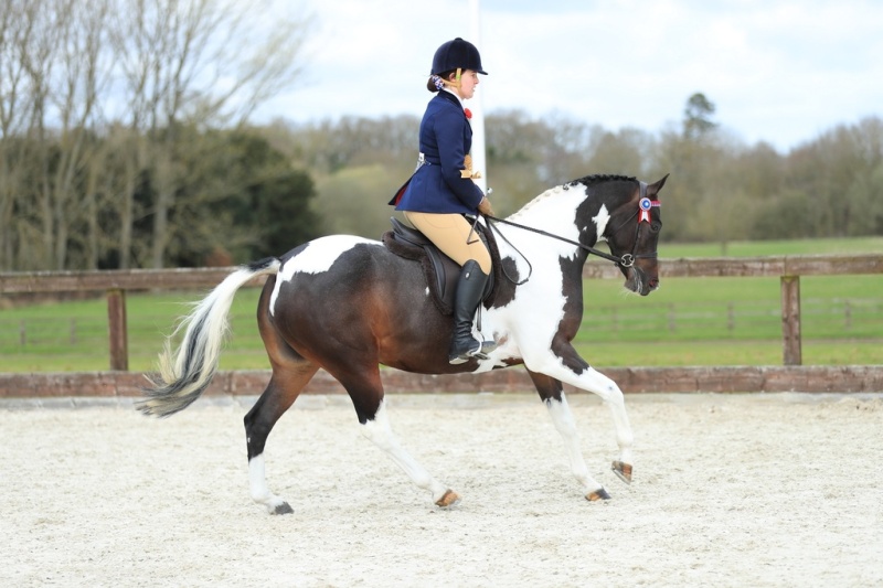 Shelby-Arbon-and-Murraybrook-Monet