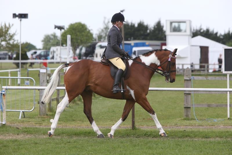 Royal Lace and Jo Mason