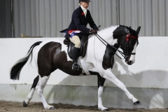 Harriet-Richardson-and-Prince-of-Roque