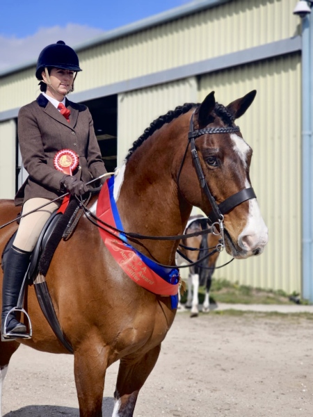 Megan-sweeting-Horse_Pony-Tullabeg-Marvel