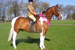 Picasso IV ridden by holly gaunt