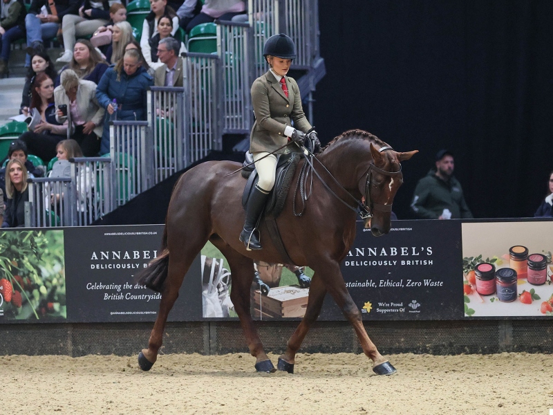 Ava-Hawkey-Horse_Pony-Carnsdale-Centurion