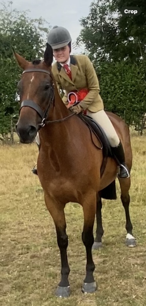 Tara-Robinson-Horse_Pony-Mr-Cummins