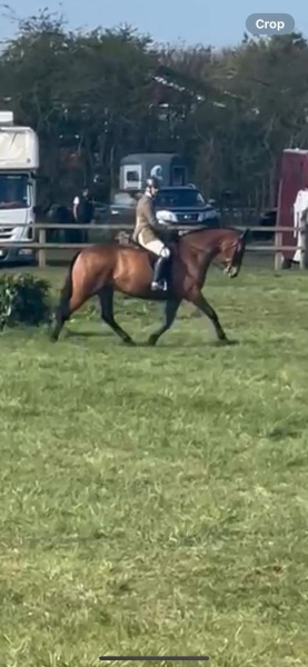 Glen-Allen-and-Wellpark-Thor