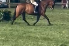 Glen-Allen-and-Wellpark-Thor