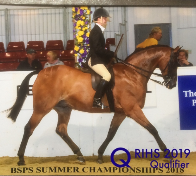 Glen Allen and Helsington Tailor Made