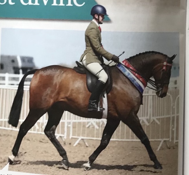 Glen-Allen-and-Greylands-Ace-High