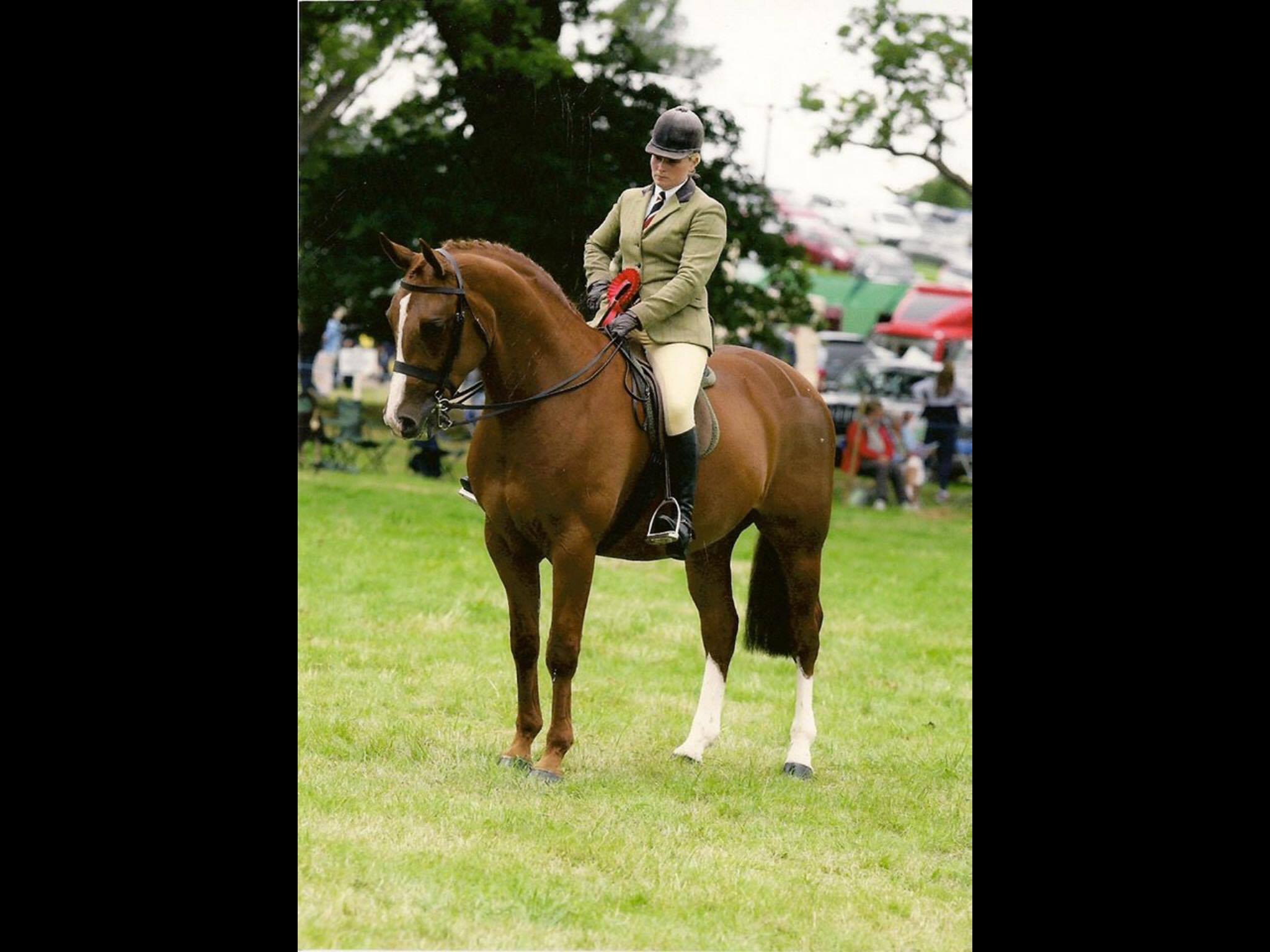 Darkwaters Dejavu and Zara Owen