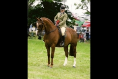 Darkwaters Dejavu and Zara Owen