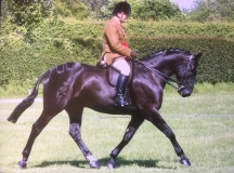 James Munro and Ebony King