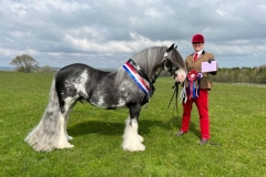 Jenny-wellens-and-Silver-Saviour