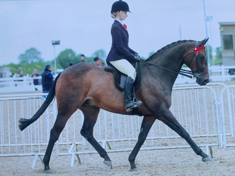 Alice-Spink-and-Emperors-Jade