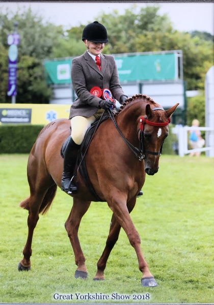 Caitlin Hamilton and Firecrest C