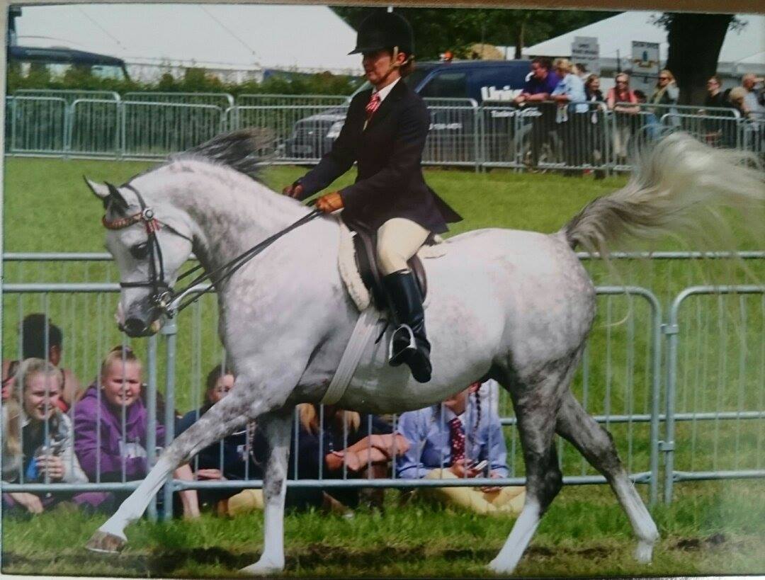 Sayyad AND Clare Fitch