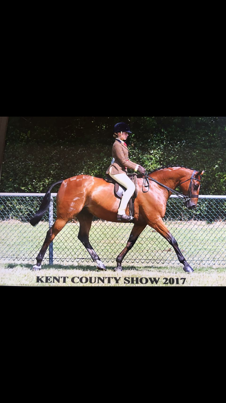 Ellie Sedgwick Horse:Pony Raemori So Mighty