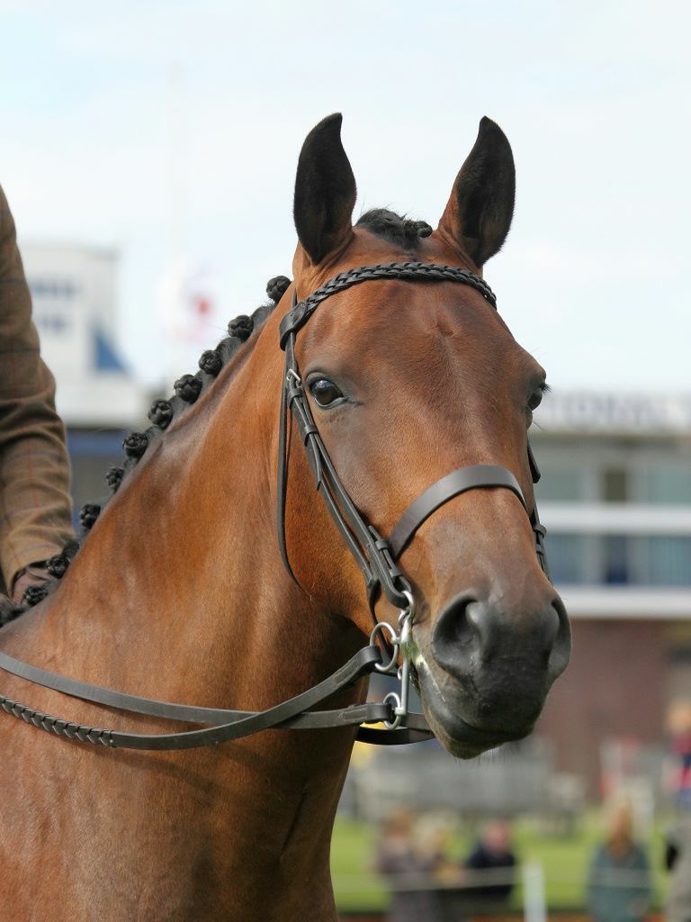 Laura Hercus and Deanburn Regal Splendour